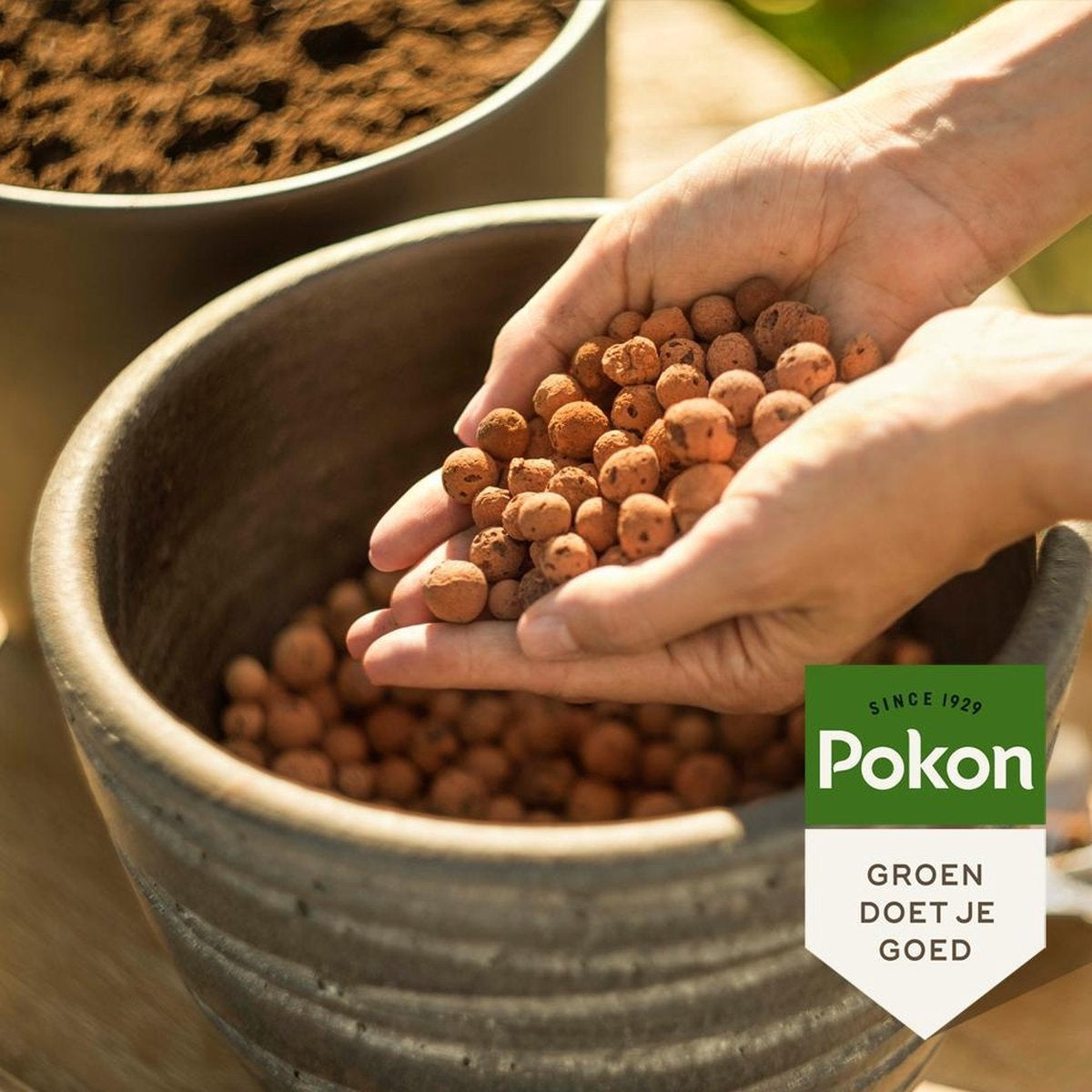 Pokon Hydro grains - 10l - Grains d'argile - Bon pour le drainage