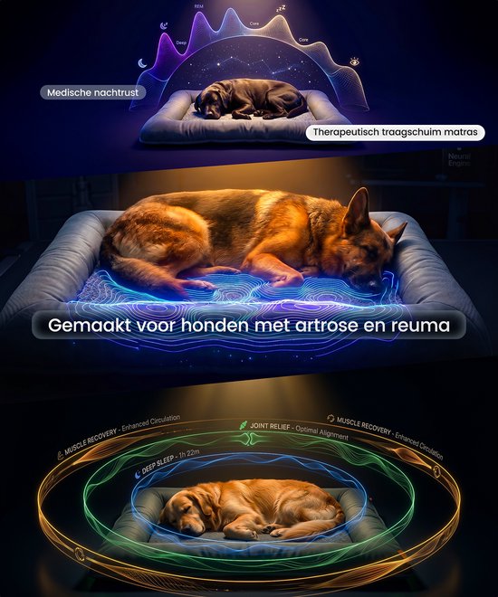 Coussin orthopédique pour chien Happysnoots® - Panier pour chien XL 85 x 70 cm - Lit pour chien lavable - Coussin de panier gris avec fermeture éclair