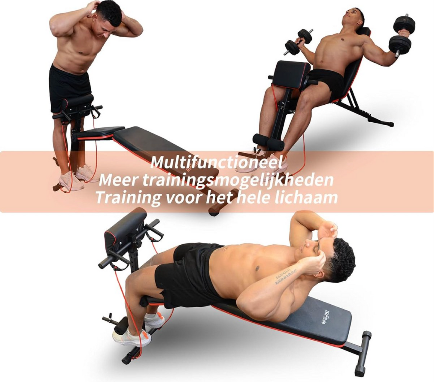DH FitLife banc d'haltères pliable avec banc de curl et tendeur de jambes, multifonctionnel - 7 niveaux