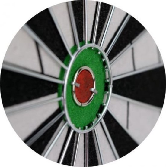 Planche à fléchettes Masterdarts 45cm x 2 cm avec 2 jeux de flèches