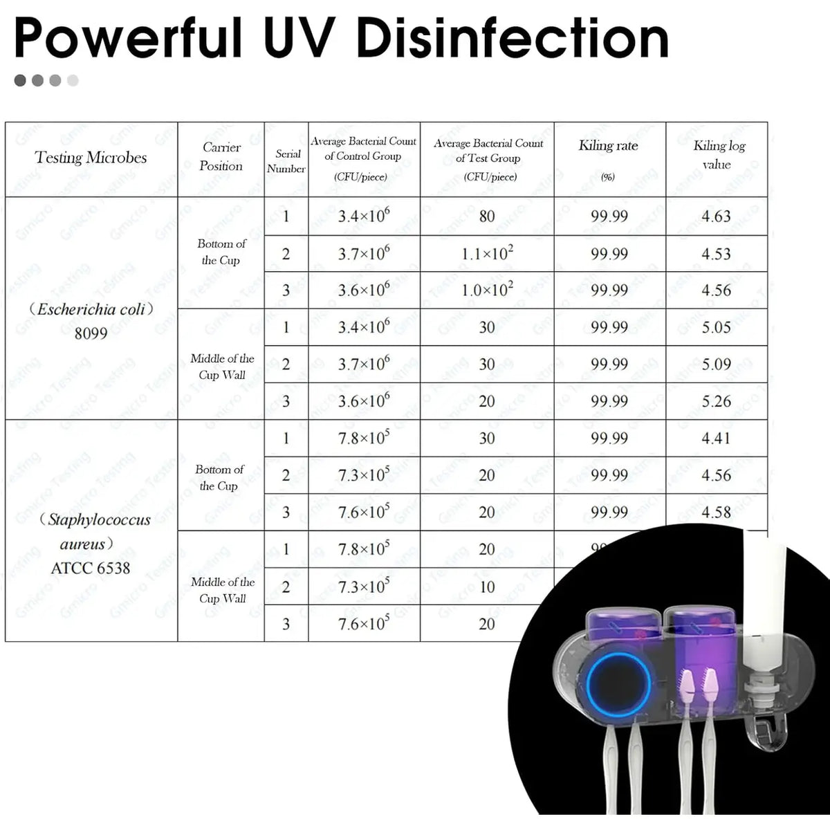 Appareil de désinfection pour brosses à dents Ihave F1102 avec support