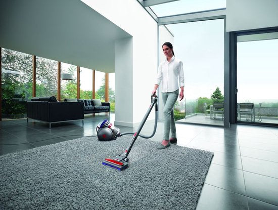 Dyson Big Ball Absolute 2 - Aspirateur