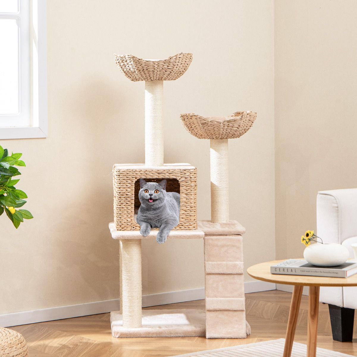 Arbre à chat Coast - 4 niveaux - arbres à chat en sisal - coussins lavables - beige 122 cm