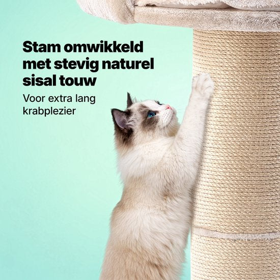Jake et Jacky : Arbre à chat pour grands chats avec panier - Avec corde à jouer - Naturel/Crème - 57 x 57 x 90 cm - Ø de l'arbre à chat en sisal : 20 cm