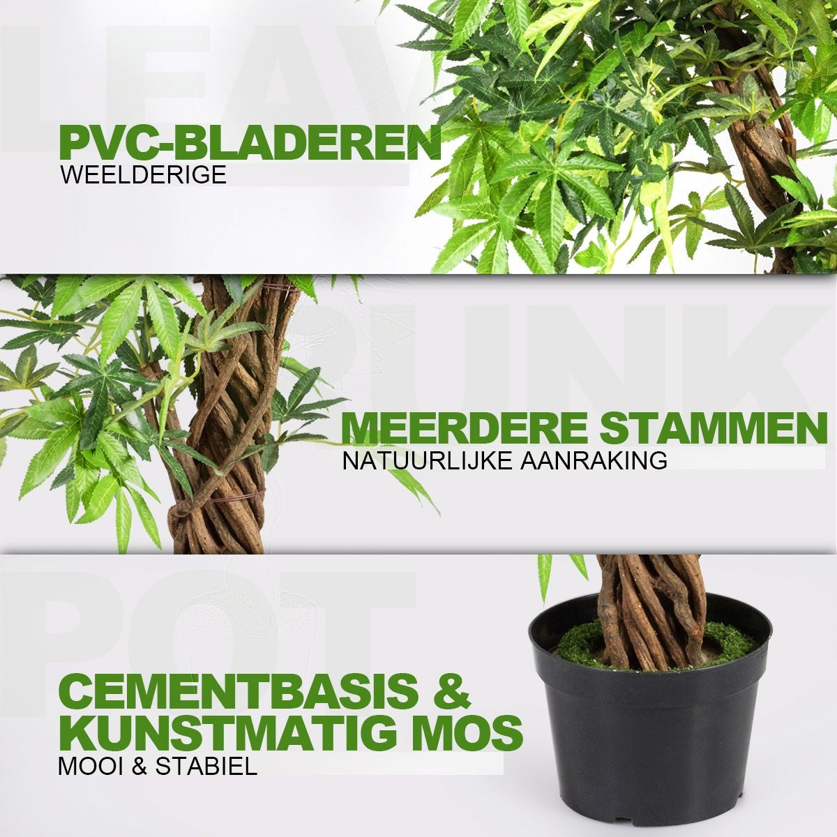 Coast Art Bonsai - PVC - 160 cm - Pour l'intérieur et l'extérieur