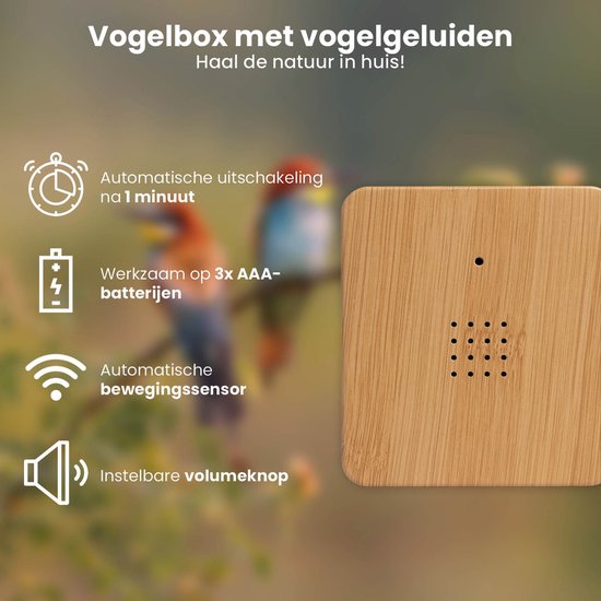 QLT Birdhouse with Nature Sounds - Boîte à sons pour oiseaux - Fonctionne sur piles - Détecteur de mouvement automatique - Volume réglable - Bois/Gris