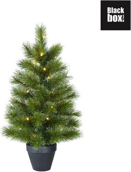 Black Box Trees Glendon Artificial Christmas Tree in Pot with 30 LED Lights - H90 x Ø51cm - Green