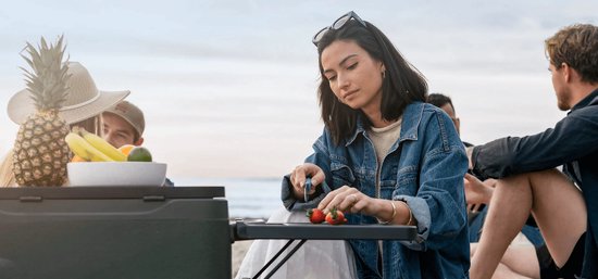 Anker EverFrost 30 - Glacière portable alimentée par batterie - Capacité de 33 litres - Batterie 299Wh avec USB - Autonomie de 42 heures