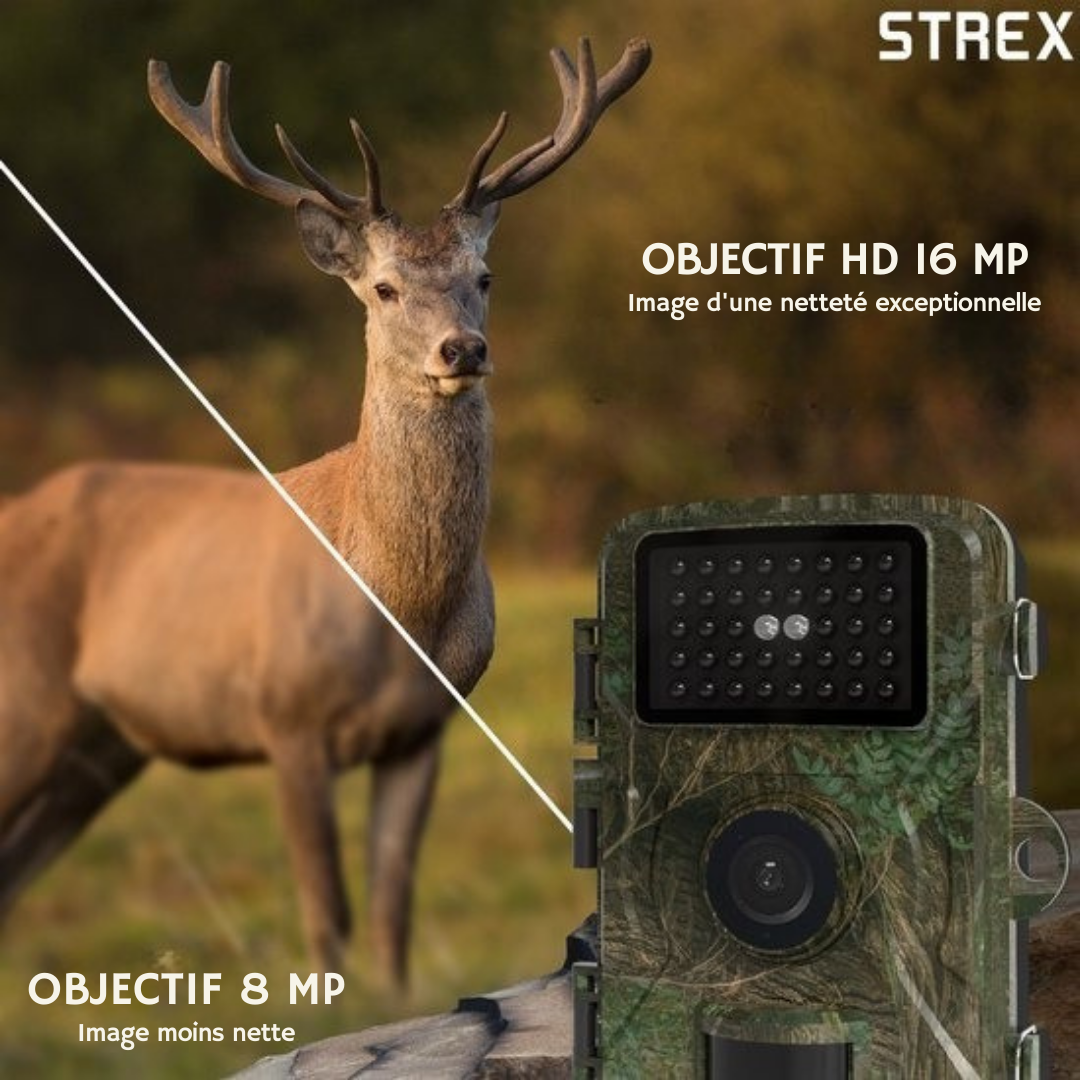 Wildlife Camera - Strex - Caméra de faune - Vision nocturne - 16MP 1080P Full HD - Waterproof - Caméra de chasse - Caméra pour animaux sauvages