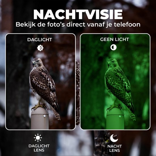 Caméra Denver pour animaux sauvages avec vision nocturne - 4K Ultra HD - 50MP - écran LCD - étanche - WCS5023