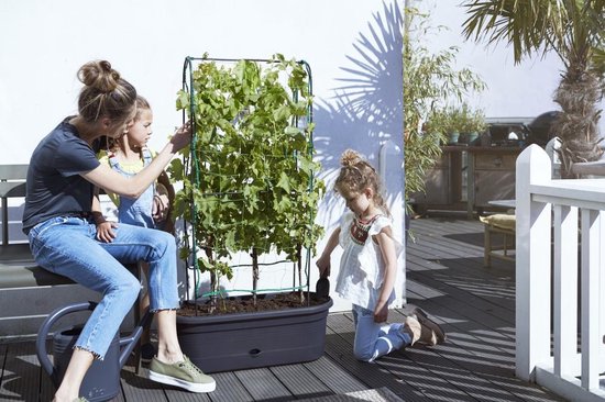 Elho Green Basics Veggie Wall 80 - Bac de culture - Jardinage vertical - Plastique 100 % recyclé - Ø 77,5 x H 26,0 cm - Living black