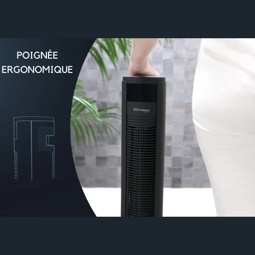 Ventilateur sur pied - JAP Appliances - silencieux (46dB) - avec télécommande - 6 niveaux - Noir mat