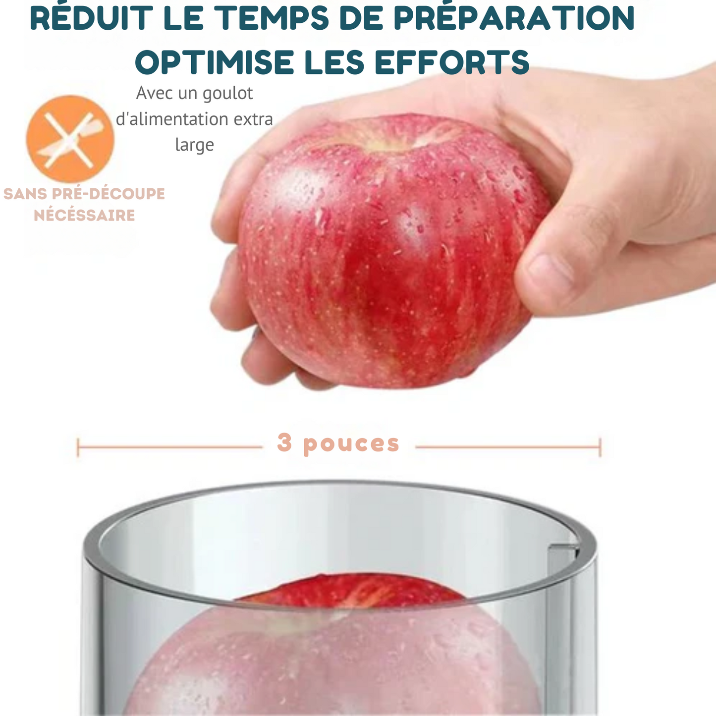 Extracteur de jus rapide - Fuegobird L811 - acier inoxydable - Fruits et Légumes - 400watt - Noir