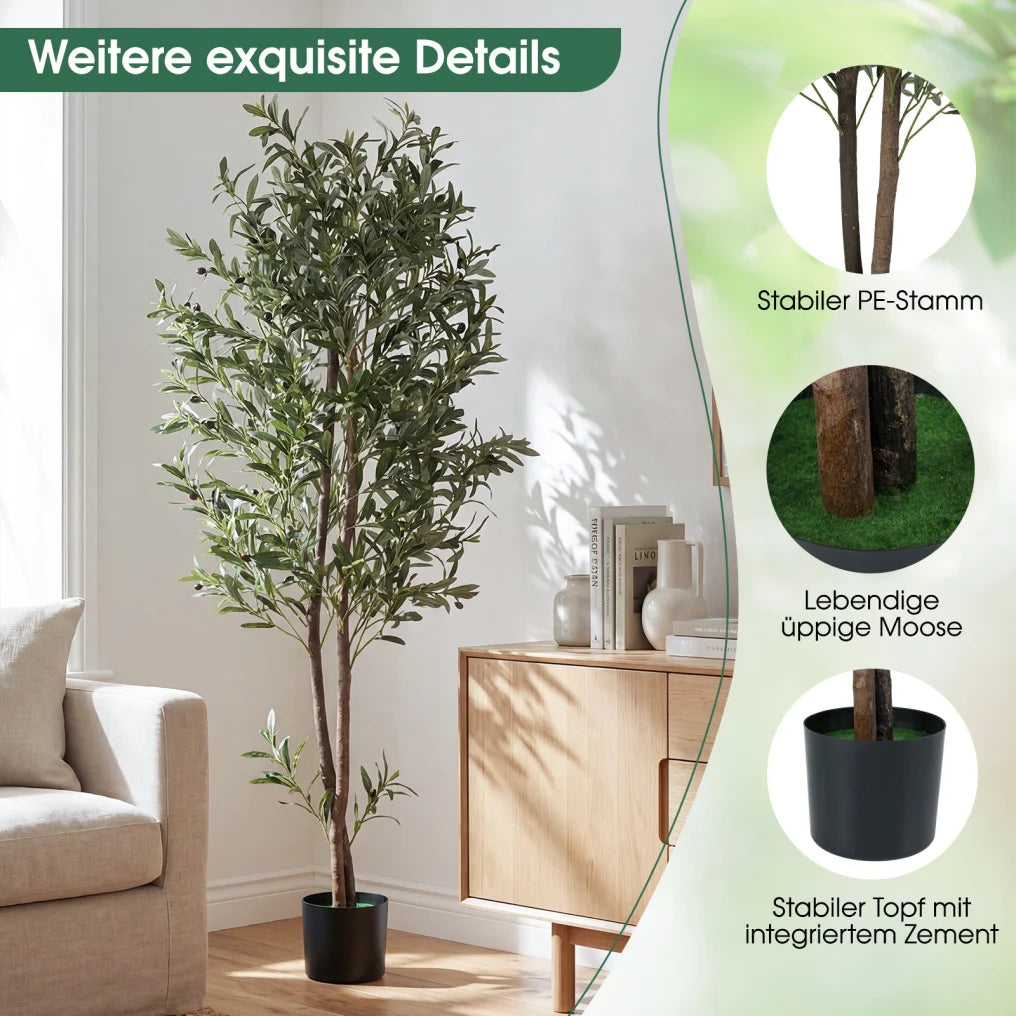 Coast – Lot de deux oliviers artificiels – Avec pot renforcé de ciment, branches flexibles et olives réalistes – Pour le salon et le bureau – Polyester vert et noir – Hauteur : 180 cm