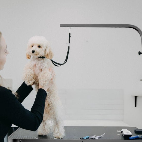Animali Trim Table - Table de toilettage pour chien - Table de toilettage pour chien - Pliable - Avec option laisse - Noir