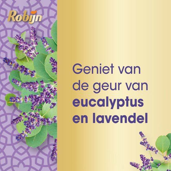 Robijn Klein & Krachtig Lessive Spa Sensation 19 lavages 665 ml