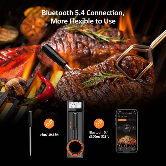 Thermomètre à viande sans fil Bluetooth INKBIRD, nouveau modèle 2025, sonde ultra-fine de 5 mm