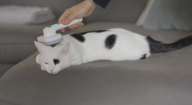 Brosse pour animaux PiddiPet IonBrush à ions - Autonettoyante - Pour chiens et chats - Noire - 18,5 x 12 x 7 cm
