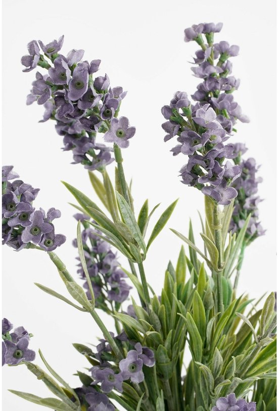 Mica Decorations Plante artificielle Lavendula/lavande - vert/violet - D22 x H33 cm - pot gris - plante d'intérieur - fleurs artificielles