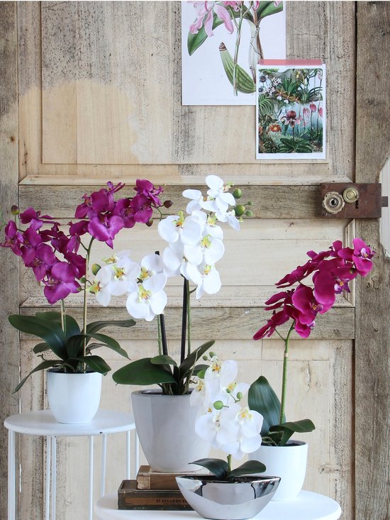 Mica Decorations - Plante artificielle Phalaenopsis dans un pot Tusca - H60 x Ø16 cm - Violet