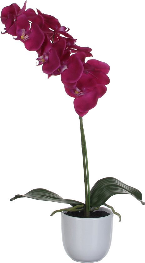 Mica Decorations - Plante artificielle Phalaenopsis dans un pot Tusca - H60 x Ø16 cm - Violet