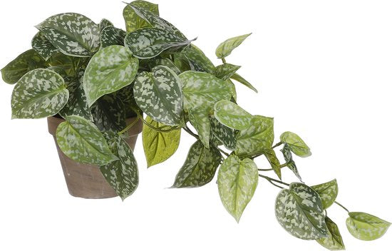 Mica Decorations Plante Artificielle Scindapsus en Pot de Fleur Stan - H44 x Ø17 cm - Vert