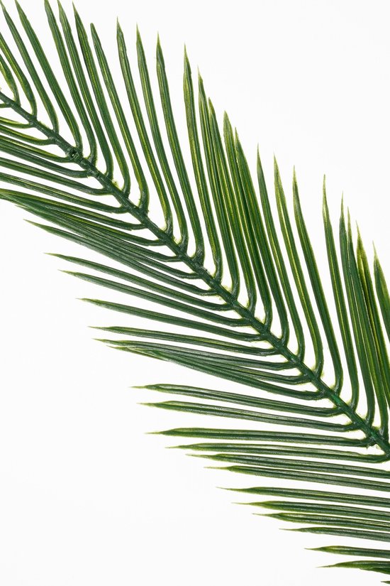 Grande plante artificielle « Cycas Palm » de Mica Decorations - verte - H 150 x P 95 cm - qualité supérieure
