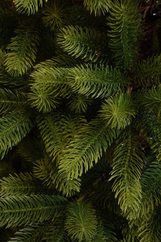 Black Box Trees Nagoya Artificial Christmas Tree - H240 x Ø138 cm - Vert