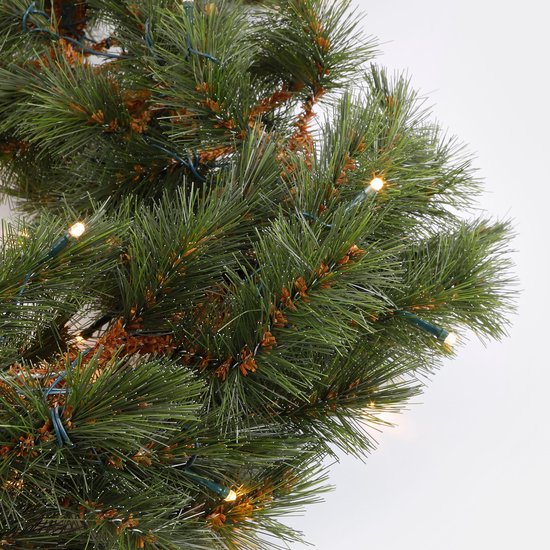 Triumph Tree Forest Guirlande givrée avec éclairage LED - L270 cm - Vert