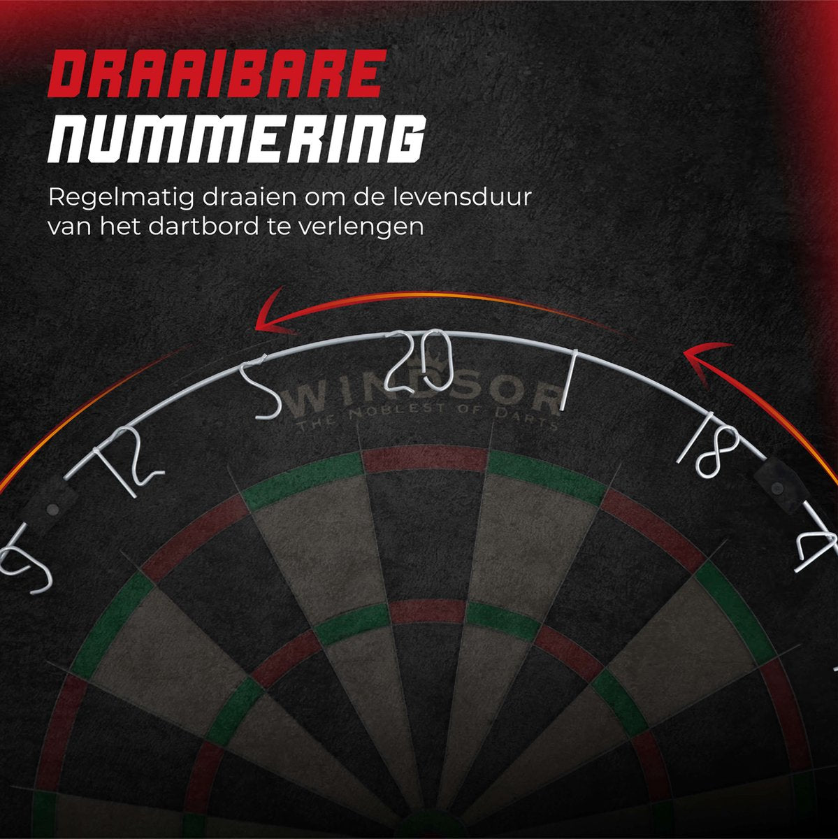 WINDSOR Dartboard - avec fléchettes et accessoires - Sisal - Dartboard - Knight 3