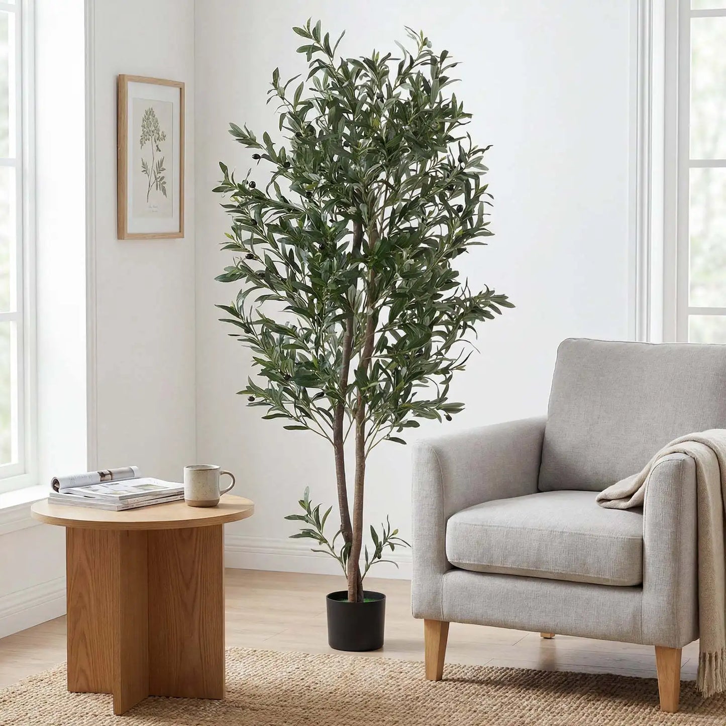 Coast – Olivier artificiel – Doté d'un pot renforcé de ciment, de branches flexibles et d'olives réalistes – Pour le salon et le bureau – Polyester vert et noir – Hauteur : 180 cm
