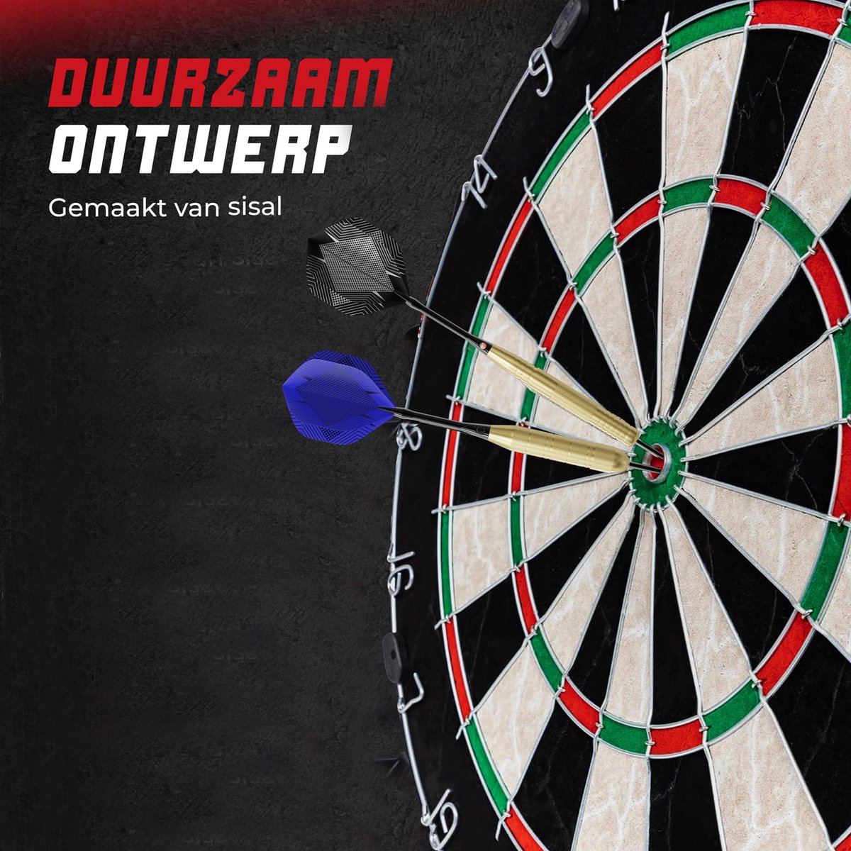 WINDSOR Dartboard - avec fléchettes et accessoires - Sisal - Dartboard - Knight 3