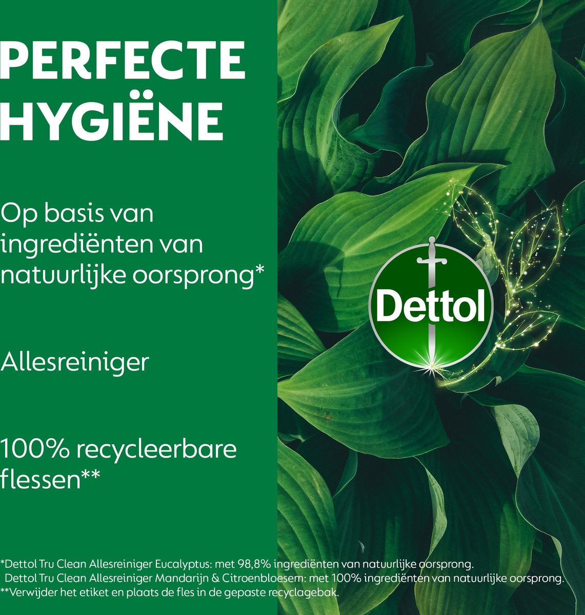Lot de 6 sprays nettoyants multi-usages Dettol - Tru Clean - Mandarine et fleur de citronnier - 500 ml