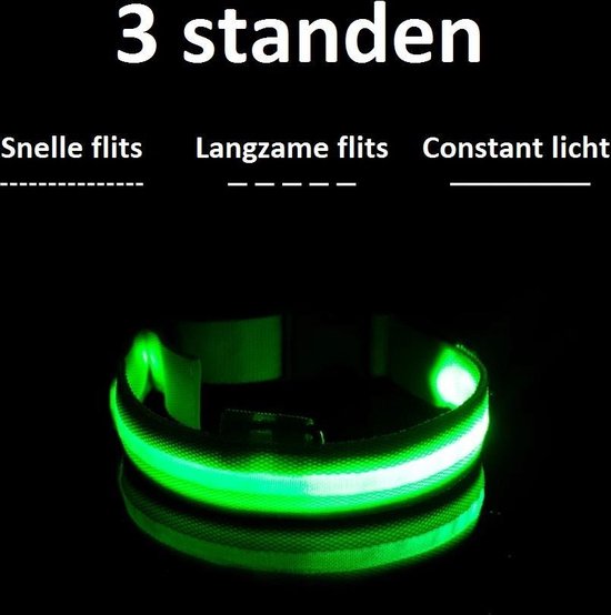 Collier lumineux LED Taille XL 42 - 56 cm USB Rechargeable Collier Chien Laisse Chiot - Bleu Chien Chat Chat - Dutchwide