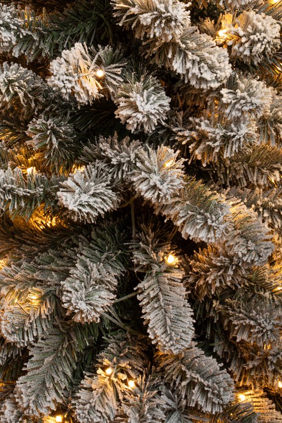 Black Box Trees Charlton Narrow Artificial Christmas Tree with Warm White LED Lights - H215 x Ø56 cm - Green Frosted
