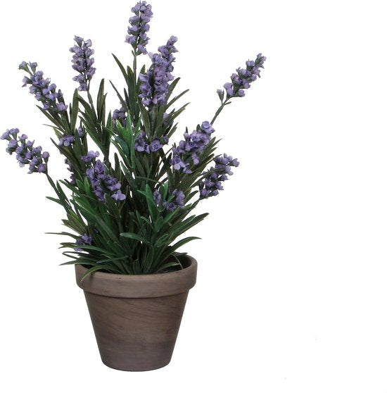 Mica Decorations Plante artificielle Lavendula/lavande - vert/violet - D22 x H33 cm - pot gris - plante d'intérieur - fleurs artificielles