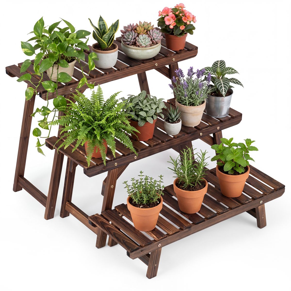 Ensemble de 3 supports pour plantes Coast - 3 niveaux - bois de pin carbonisé - marron