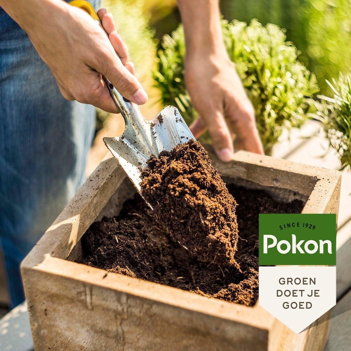 Pokon Plantes d'intérieur Terreau - 10l - Terreau (plantes d'intérieur) - 6 mois de nutrition