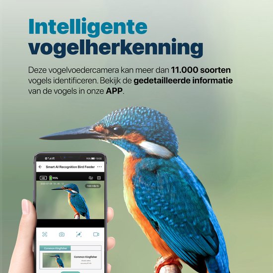 Mangeoire à oiseaux BOME - Caméra 2K HD - Reconnaissance des oiseaux par IA - Double panneau solaire