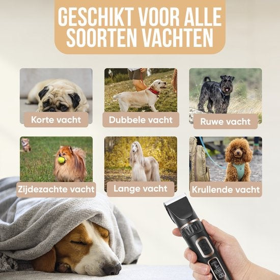 Tondeuse pour chien - Strex - Tondeuse pour animaux - Extra silencieuse - Sans fil - 5 modes