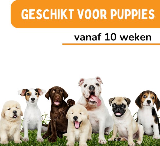 Cee Cee Flea Band Dog Efficace contre les puces et les tiques - Remède contre les puces - Meilleur que les gouttes anti-puces - Noir - Peigne anti-puces et livre inclus