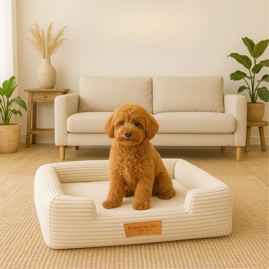 By Cee Cee Panier orthopédique pour chien - Coussin orthopédique pour chien - Lit pour chien - Tissu côtelé - Pour petits chiens - Beige - 80x55