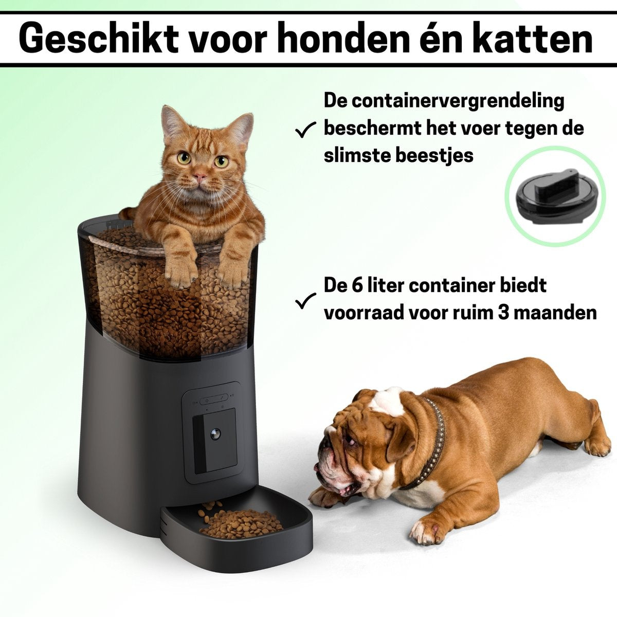 BOME - Distributeur automatique de nourriture à distance pour chiens et chats - Caméra et audio avec carte SD - Noir