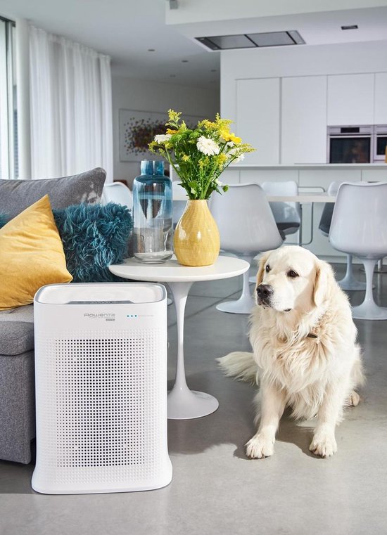 Rowenta Pure Air Genius PU3080F0 - Purificateur d'air