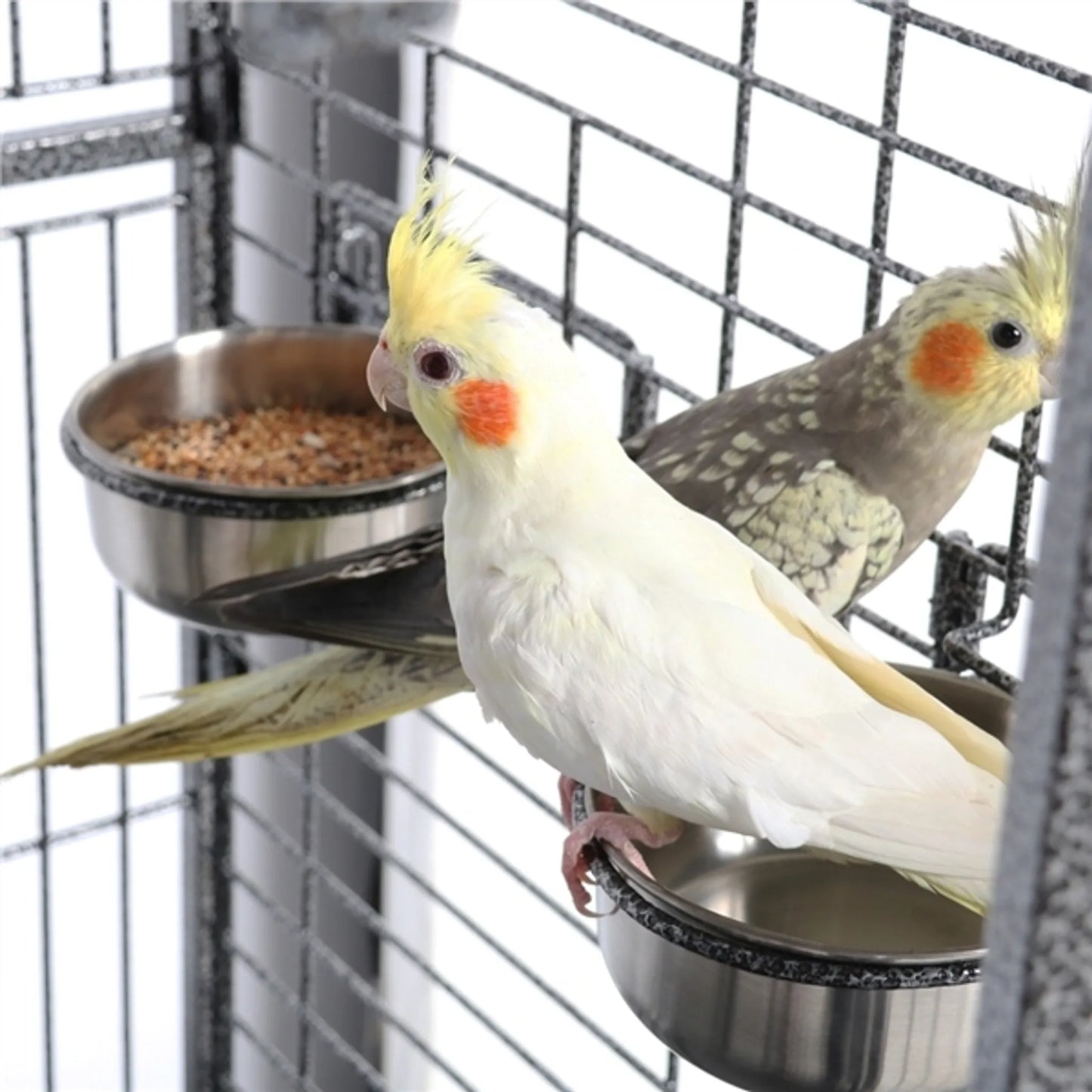 Yaheetech Cage à oiseaux Cage pour perroquets - 81 x 77 x 154-160 cm - équipée d'un toit victorien pliant et d'un collecteur de saletés et d'une base mobile - pour perroquets et grands oiseaux - métal martelé noir