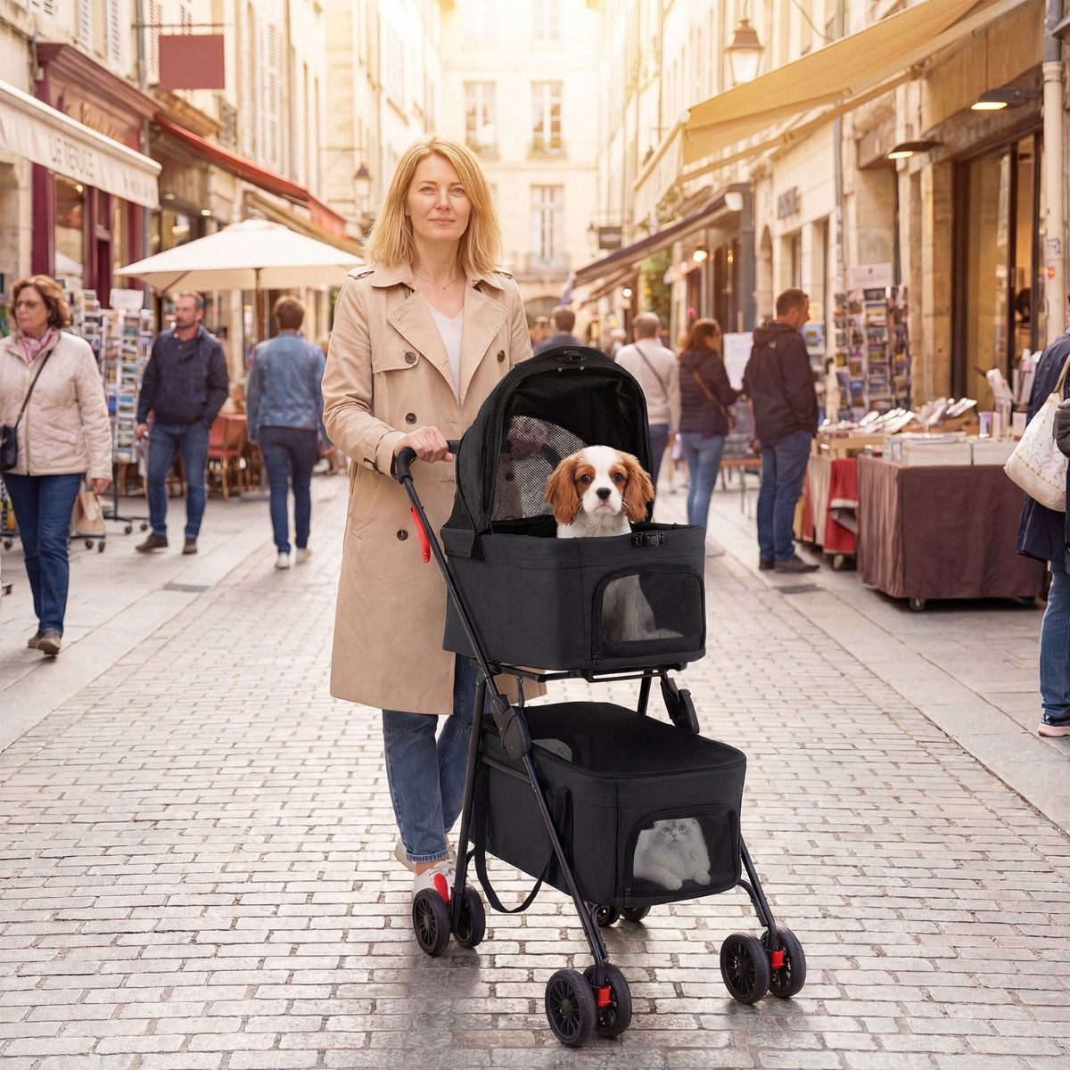 Chariot pliable double pour animaux de compagnie Coast - 3-en-1 avec caisses de transport amovibles - roues tout-terrain - noir