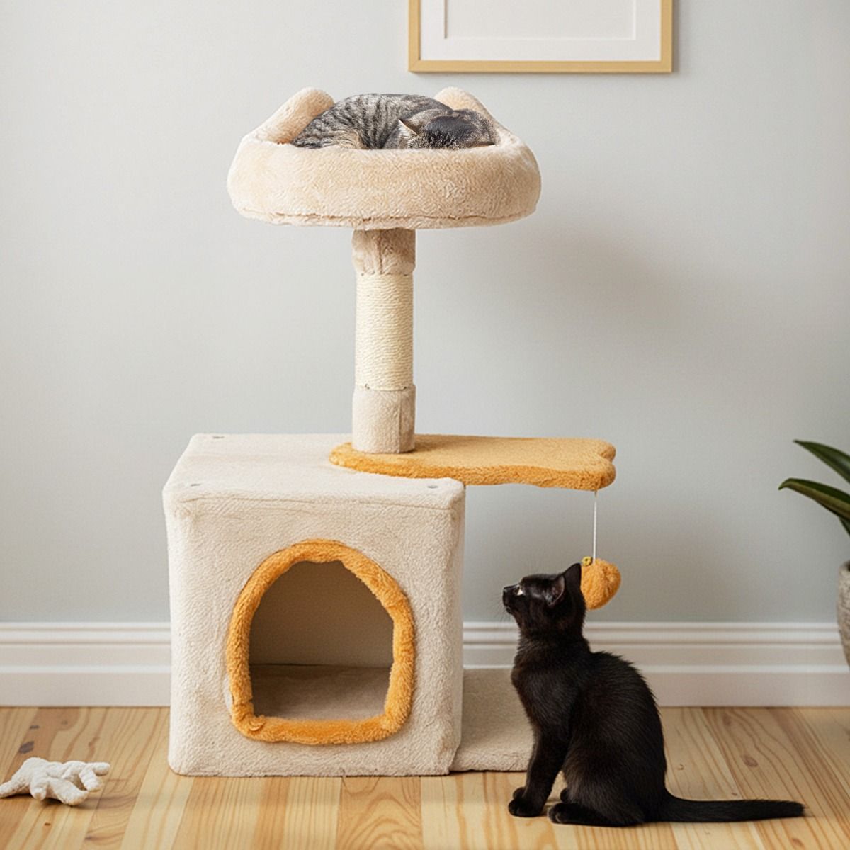 Coast Tour pour chat d'intérieur - Charmant arbre à chat avec siège en peluche - 40 x 30 x 61 cm