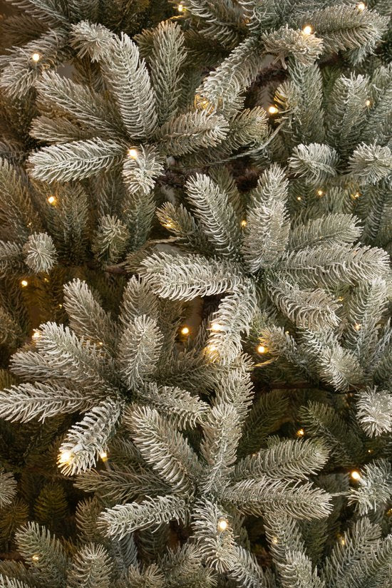 Black Box Trees Nagoya Artificial Christmas Tree with Warm White LED Lights - H210 x Ø115 cm - Green Frosted