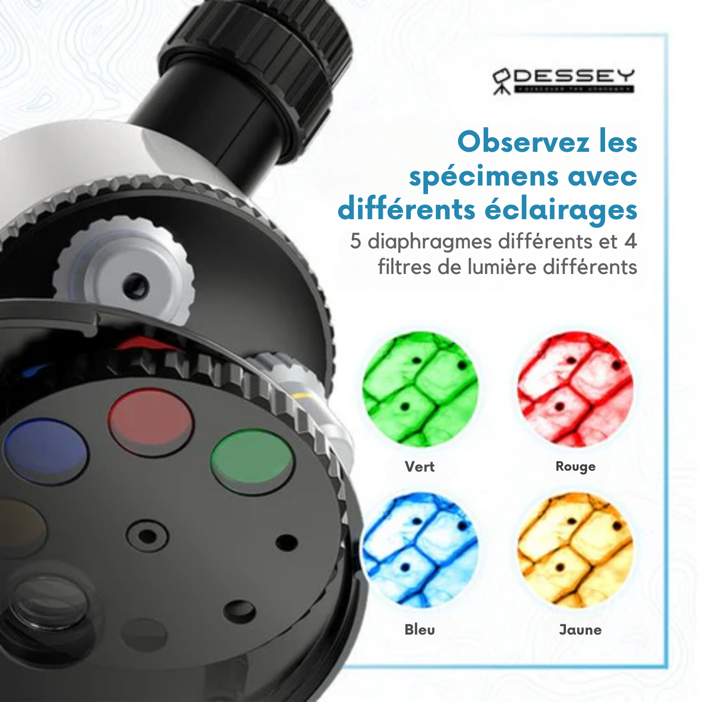 Microscope - ODESSEY - avec boîte à outils - Grossissement 1200X - Modèle Julius