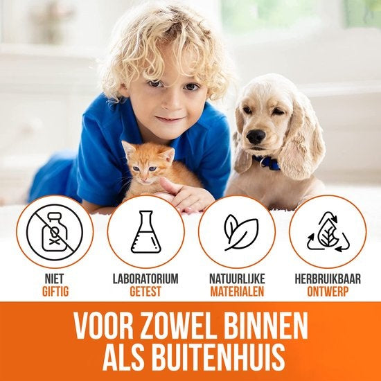 Piège à souris Strex pour l'intérieur et l'extérieur - respectueux des animaux - piège vivant - 2 pièces